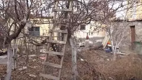 Mektup yazarak kedilerine mama isteyen hayvansevere belediyeden destek Mektup yazarak kedilerine mama isteyen hayvansevere belediyeden destek