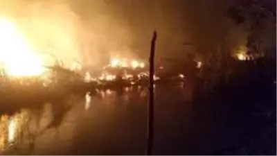 Son dakika haber... Seydikemer'de sazlık yangını...Alevler seralara sıçramadan söndürüldü Son dakika haber... Seydikemer'de sazlık yangını...Alevler seralara sıçramadan söndürüldü