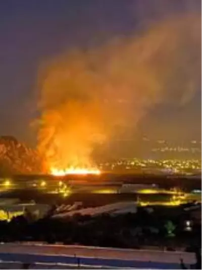 Son dakika haber... Seydikemer'de sazlık yangını...Alevler seralara sıçramadan söndürüldü Son dakika haber... Seydikemer'de sazlık yangını...Alevler seralara sıçramadan söndürüldü