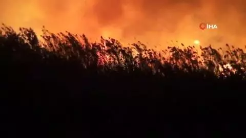 Son dakika haber... Seydikemer'de sazlık yangını...Alevler seralara sıçramadan söndürüldü Son dakika haber... Seydikemer'de sazlık yangını...Alevler seralara sıçramadan söndürüldü