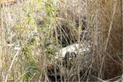 Tarlada çalışan çiftçi, Mergen çayına uçan sürücünün hayatını kurtardı Tarlada çalışan çiftçi, Mergen çayına uçan sürücünün hayatını kurtardı