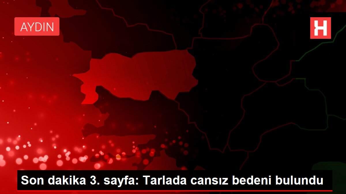 Son dakika 3. sayfa: Tarlada cansız bedeni bulundu Son dakika 3. sayfa: Tarlada cansız bedeni bulundu