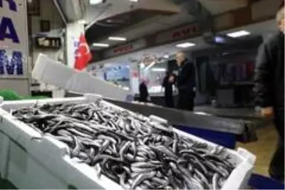 Balık çeşitlendi, fiyatlar yükseldi Balık çeşitlendi, fiyatlar yükseldi
