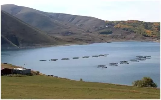 Erzurum'da su ürünleri yetiştiriciliği iki kat artacak