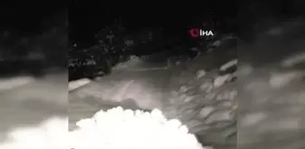 Kar yağışı Beytüşşebap'ta hayatı durma noktasına getirdi