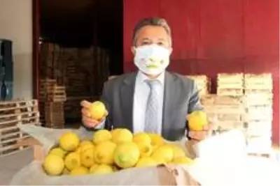 Meşhur Lamas limonuna AB'de coğrafi işaret için çalışma başlatıldı Meşhur Lamas limonuna AB'de coğrafi işaret için çalışma başlatıldı