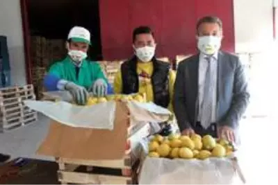 Meşhur Lamas limonuna AB'de coğrafi işaret için çalışma başlatıldı Meşhur Lamas limonuna AB'de coğrafi işaret için çalışma başlatıldı