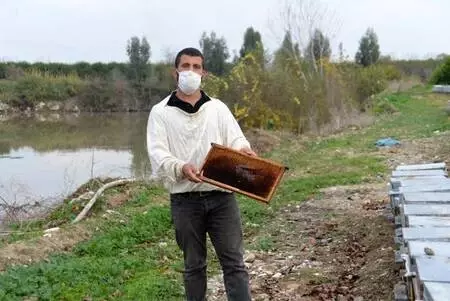 Nehir kıyısındaki kovanlarda binlerce arı öldü, yetiştiriciler kirliliğe dikkat çekti Nehir kıyısındaki kovanlarda binlerce arı öldü, yetiştiriciler kirliliğe dikkat çekti