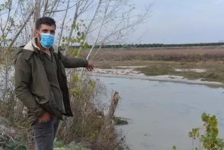 Nehir kıyısındaki kovanlarda binlerce arı öldü, yetiştiriciler kirliliğe dikkat çekti Nehir kıyısındaki kovanlarda binlerce arı öldü, yetiştiriciler kirliliğe dikkat çekti
