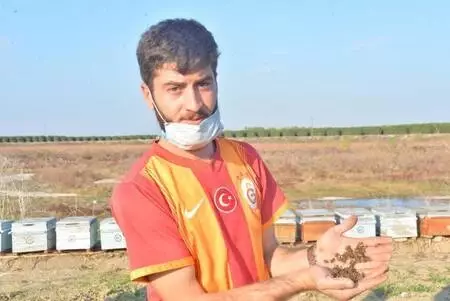 Nehir kıyısındaki kovanlarda binlerce arı öldü, yetiştiriciler kirliliğe dikkat çekti Nehir kıyısındaki kovanlarda binlerce arı öldü, yetiştiriciler kirliliğe dikkat çekti