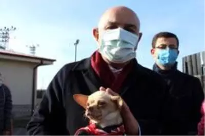 Ses telleri kesilen köpekler sahiplendiriliyor Ses telleri kesilen köpekler sahiplendiriliyor