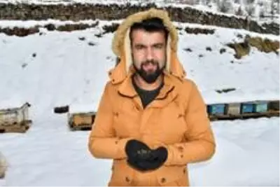 Şırnak'ta kara saplanan arılar, arıcıların avuçlarında hayat buluyor Şırnak'ta kara saplanan arılar, arıcıların avuçlarında hayat buluyor