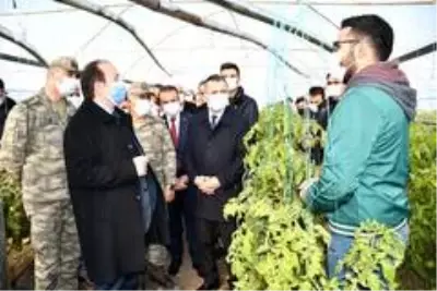 Şırnak Valisi Pehlivan, Uludere'deki seralarda incelemelerde bulundu Şırnak Valisi Pehlivan, Uludere'deki seralarda incelemelerde bulundu