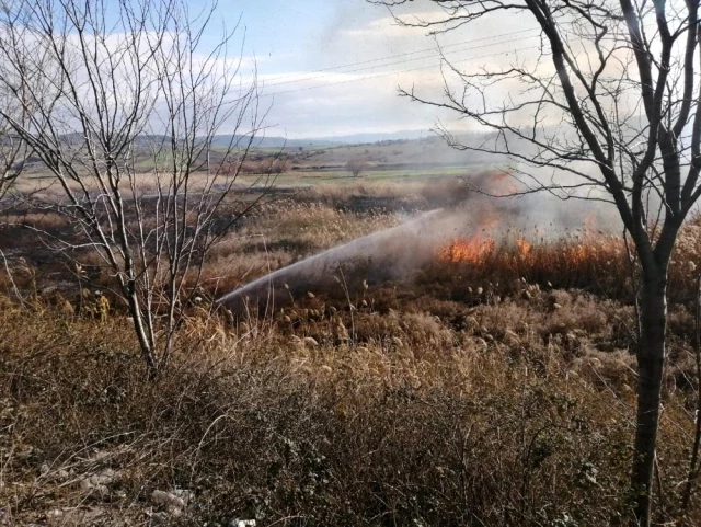 Susurluk'ta 20 dönüm sazlık alan yandı