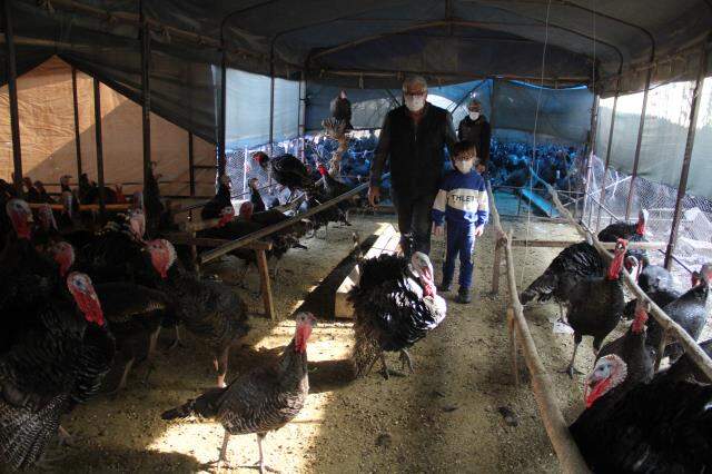 Torunun hindi sevgisi dedeyi yeni bir meslek sahibi yaptı