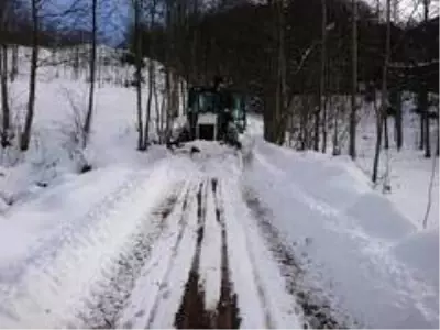 Trabzon'da kar nedeniyle kapanan mahalle yollarının tümü açıldı Trabzon'da kar nedeniyle kapanan mahalle yollarının tümü açıldı