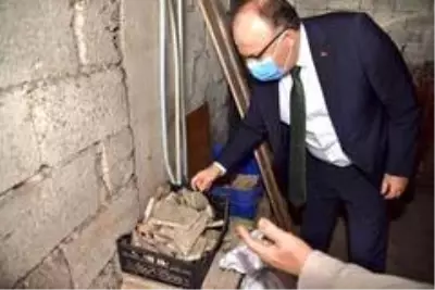Vali Tutulmaz, Kadıoğlu Mozaiklerini inceledi Vali Tutulmaz, Kadıoğlu Mozaiklerini inceledi