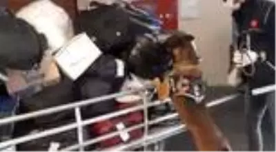 Yabancı uyruklu şahsın valizinden 2 kilo 92 gram metamfetamin çıktı Yabancı uyruklu şahsın valizinden 2 kilo 92 gram metamfetamin çıktı