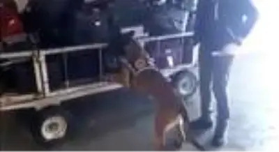 Yabancı uyruklu şahsın valizinden 2 kilo 92 gram metamfetamin çıktı Yabancı uyruklu şahsın valizinden 2 kilo 92 gram metamfetamin çıktı