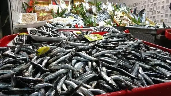 Ünlü gurme Vedat Milor, deniz ürünlerindeki tehlikeye dikkat çekti: Midye yemek, pil yemek gibidir Ünlü gurme Vedat Milor, deniz ürünlerindeki tehlikeye dikkat çekti: Midye yemek, pil yemek gibidir