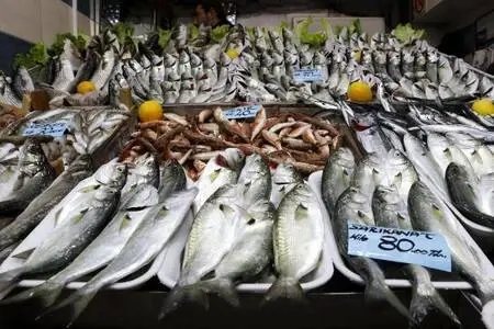 'Denizlerin prensi' lüferin kilosu 100 liraya düştü