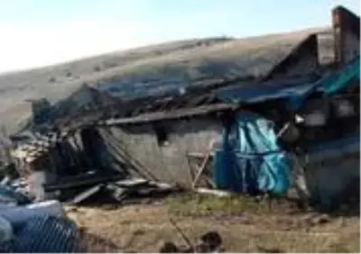Son dakika... Elektrik kontağından çıkan yangın, 12 hayvanı telef etti Son dakika... Elektrik kontağından çıkan yangın, 12 hayvanı telef etti