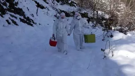 Filyasyon ekipleri karda da virüsün izini sürüyor Filyasyon ekipleri karda da virüsün izini sürüyor