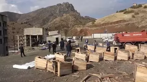 HAKKARİ -Almanya'dan gelip Şemdinli'deki sokak hayvanlarına 'anne şefkatiyle' bakıyor HAKKARİ -Almanya'dan gelip Şemdinli'deki sokak hayvanlarına 'anne şefkatiyle' bakıyor