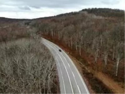 Istranca Ormanları'nda renk cümbüşü
