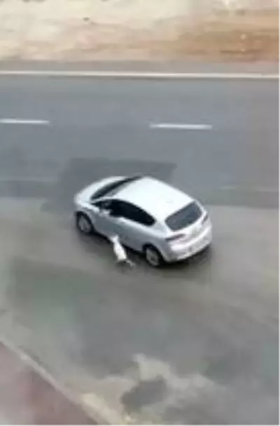Köpeğini tasmasından tutup otomobilden sürükleyerek gezdirdi Köpeğini tasmasından tutup otomobilden sürükleyerek gezdirdi