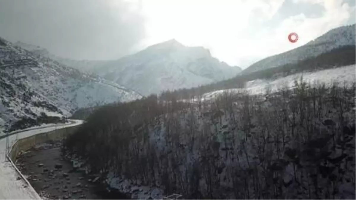 Meşe ormanları beyaza büründü