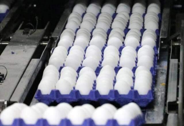 Üreticiler yumurta zammında topu aracılara attı: Yine onlar kazanıyor