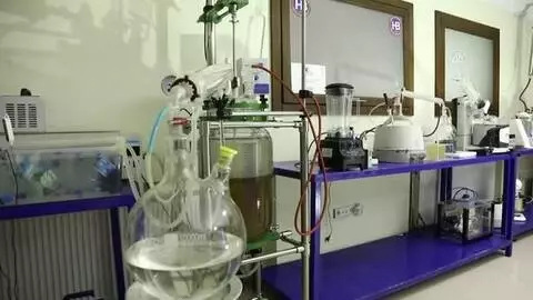 Çam kozalağını bor ile birleştirerek gıda takviyesi geliştirdiler Çam kozalağını bor ile birleştirerek gıda takviyesi geliştirdiler