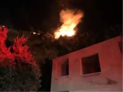 Hatay'da çıkan yangını söndürme çalışmaları sürüyor Hatay'da çıkan yangını söndürme çalışmaları sürüyor