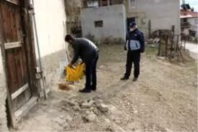 Hisarcık Belediyesi sokak hayvanlarını yalnız bırakmadı Hisarcık Belediyesi sokak hayvanlarını yalnız bırakmadı
