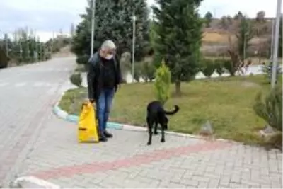 Hisarcık Belediyesi sokak hayvanlarını yalnız bırakmadı Hisarcık Belediyesi sokak hayvanlarını yalnız bırakmadı