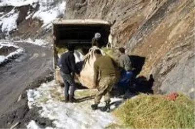 Karlı dağlarda zorlu yaşam...Yazın topladıkları samanları kışın köye indiriyorlar Karlı dağlarda zorlu yaşam...Yazın topladıkları samanları kışın köye indiriyorlar