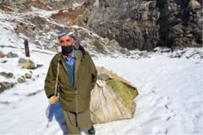 Karlı dağlarda zorlu yaşam...Yazın topladıkları samanları kışın köye indiriyorlar Karlı dağlarda zorlu yaşam...Yazın topladıkları samanları kışın köye indiriyorlar