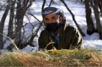 Karlı dağlarda zorlu yaşam...Yazın topladıkları samanları kışın köye indiriyorlar Karlı dağlarda zorlu yaşam...Yazın topladıkları samanları kışın köye indiriyorlar