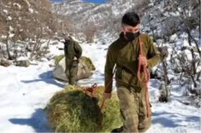 Karlı dağlarda zorlu yaşam...Yazın topladıkları samanları kışın köye indiriyorlar Karlı dağlarda zorlu yaşam...Yazın topladıkları samanları kışın köye indiriyorlar