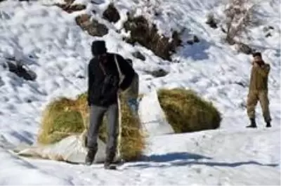 Karlı dağlarda zorlu yaşam...Yazın topladıkları samanları kışın köye indiriyorlar Karlı dağlarda zorlu yaşam...Yazın topladıkları samanları kışın köye indiriyorlar