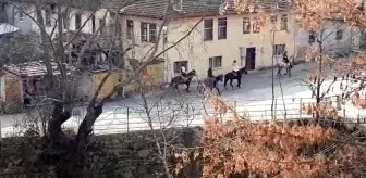 Kısıtlamaya uymadılar...Kimi at bindi, kimi sokakta maç yaptı, kimi gezdi
