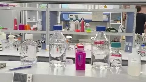 Koç Üniversitesi ve İş Bankası'nın kurduğu merkez, enfeksiyon hastalıklarıyla mücadele ediyor Koç Üniversitesi ve İş Bankası'nın kurduğu merkez, enfeksiyon hastalıklarıyla mücadele ediyor