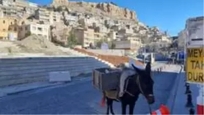 Mardin'in 'kadrolu eşekleri' kısıtlamalarda da mesaiye devam ediyor Mardin'in 'kadrolu eşekleri' kısıtlamalarda da mesaiye devam ediyor