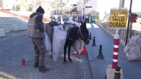 Mardin'in 'kadrolu eşekleri' kısıtlamalarda da mesaiye devam ediyor Mardin'in 'kadrolu eşekleri' kısıtlamalarda da mesaiye devam ediyor