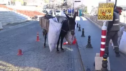 Mardin'in 'kadrolu eşekleri' kısıtlamalarda da mesaiye devam ediyor Mardin'in 'kadrolu eşekleri' kısıtlamalarda da mesaiye devam ediyor