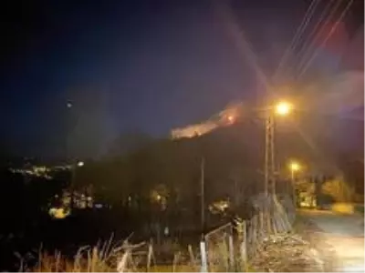 Son dakika haberi! Ordu'da ormanı yangını Son dakika haberi! Ordu'da ormanı yangını