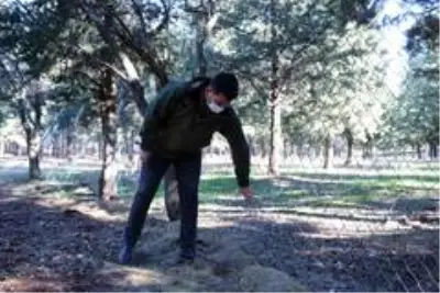 Terörden koruduğu dağlarda şimdi yaban hayatını koruyor Terörden koruduğu dağlarda şimdi yaban hayatını koruyor