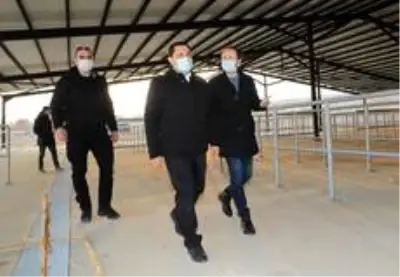 Vali Masatlı, hafa sonu mesaisinde OSB'lerde incelemelerde bulundu Vali Masatlı, hafa sonu mesaisinde OSB'lerde incelemelerde bulundu