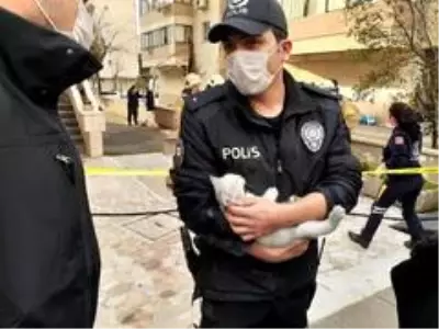 Son dakika haberi: Yangında mahsur kalan yavru kediyi polis memuru kurtardı Son dakika haberi: Yangında mahsur kalan yavru kediyi polis memuru kurtardı